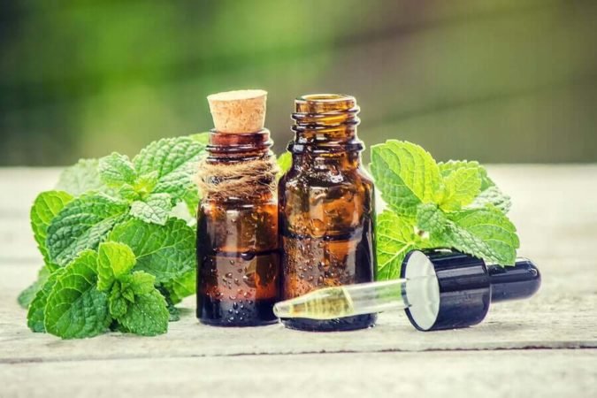 Tinh dầu bạc hà có nhiều công dụng tuyệt vời cho sức khỏe và chăm sóc sắc đẹp