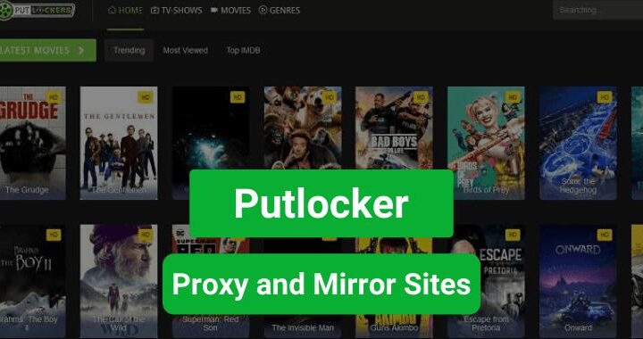 Putlocker-about