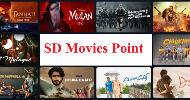 SD-Movies-Point-features